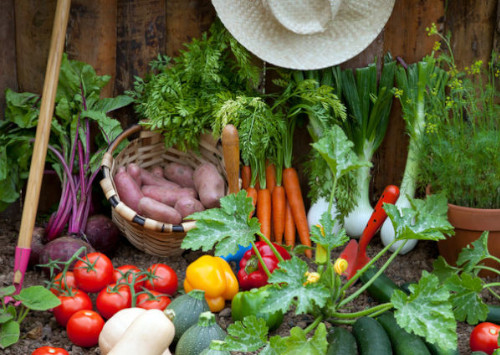 potager traiteur délice savoyard potager traiteur délice savoyard